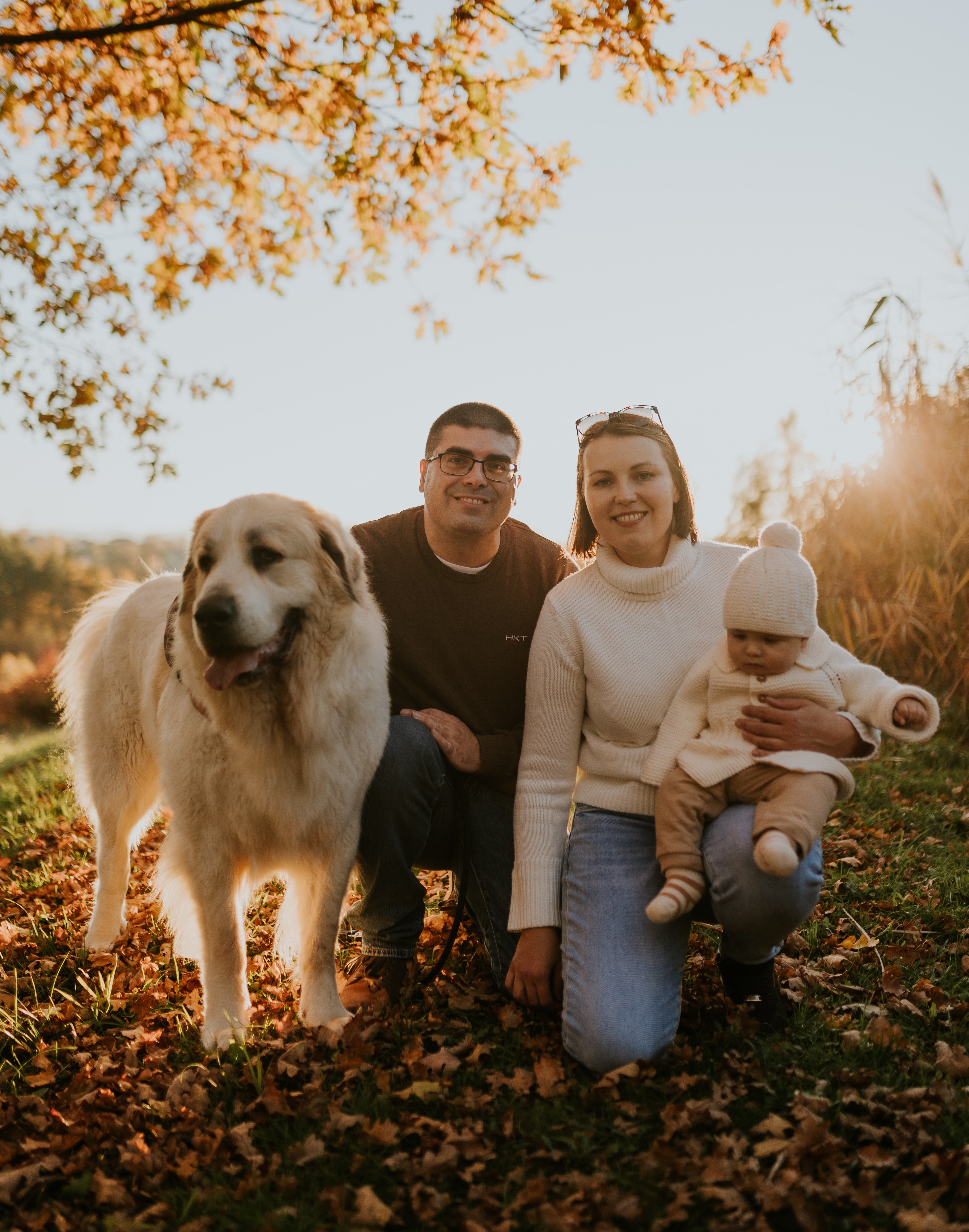 Great Pyrenees outdoors